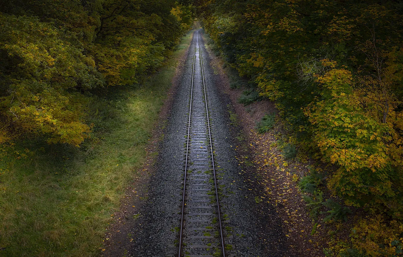 Photo wallpaper autumn, nature, railroad