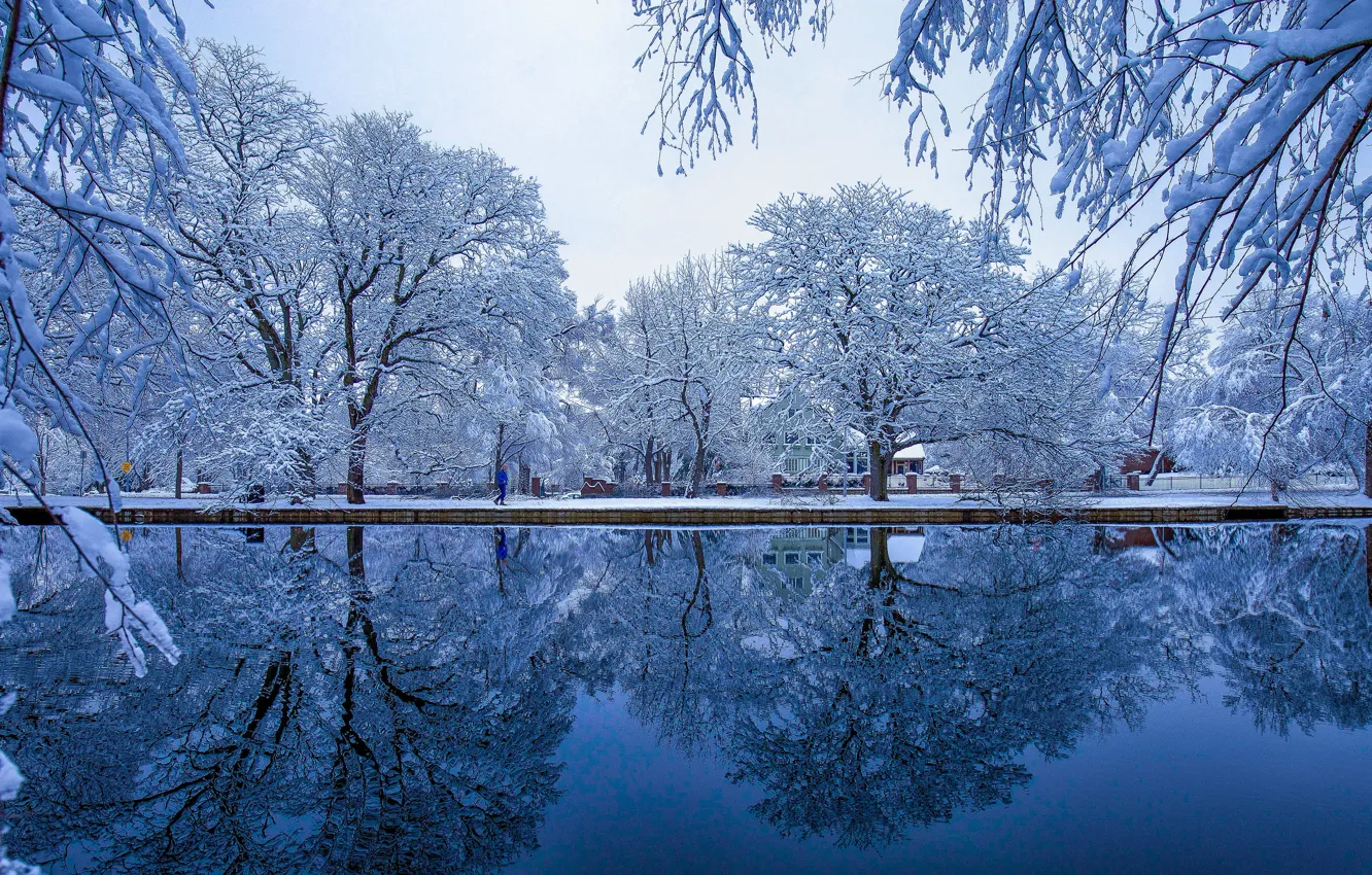 Photo wallpaper winter, frost, snow, trees, branches, pond, Park, reflection