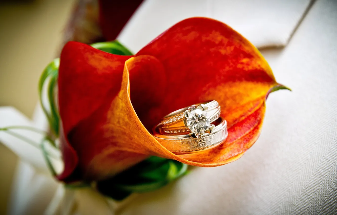 Photo wallpaper flowers, orange, stones, gold, bright, diamonds, beautiful, jewelry