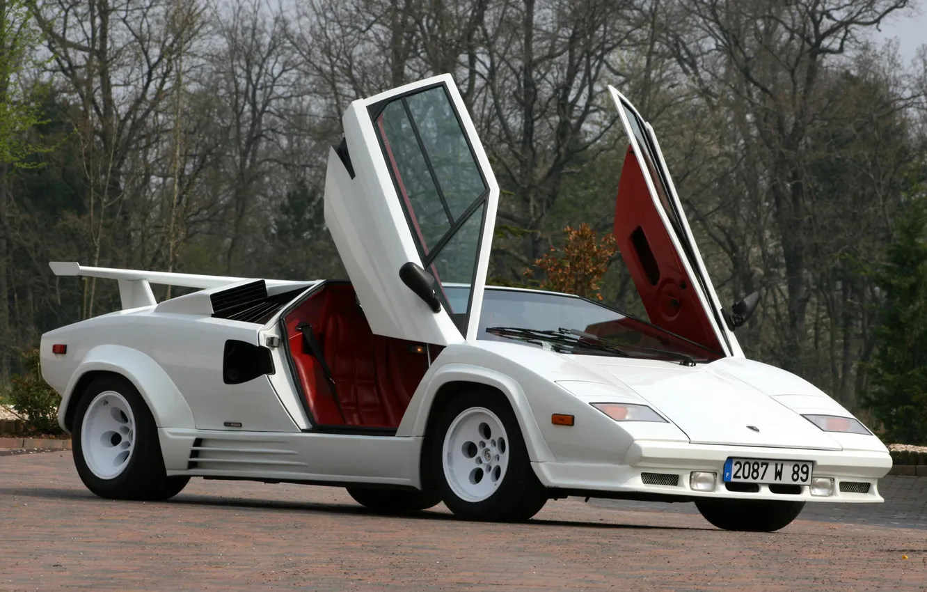 Photo wallpaper white, trees, Lamborghini, the door, Lamborghini, Quattrovalvole, countach 5000