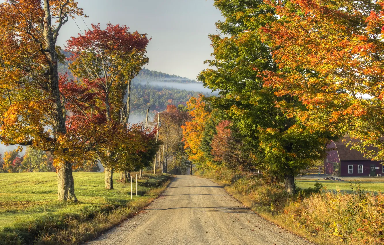 Photo wallpaper road, autumn, trees, nature