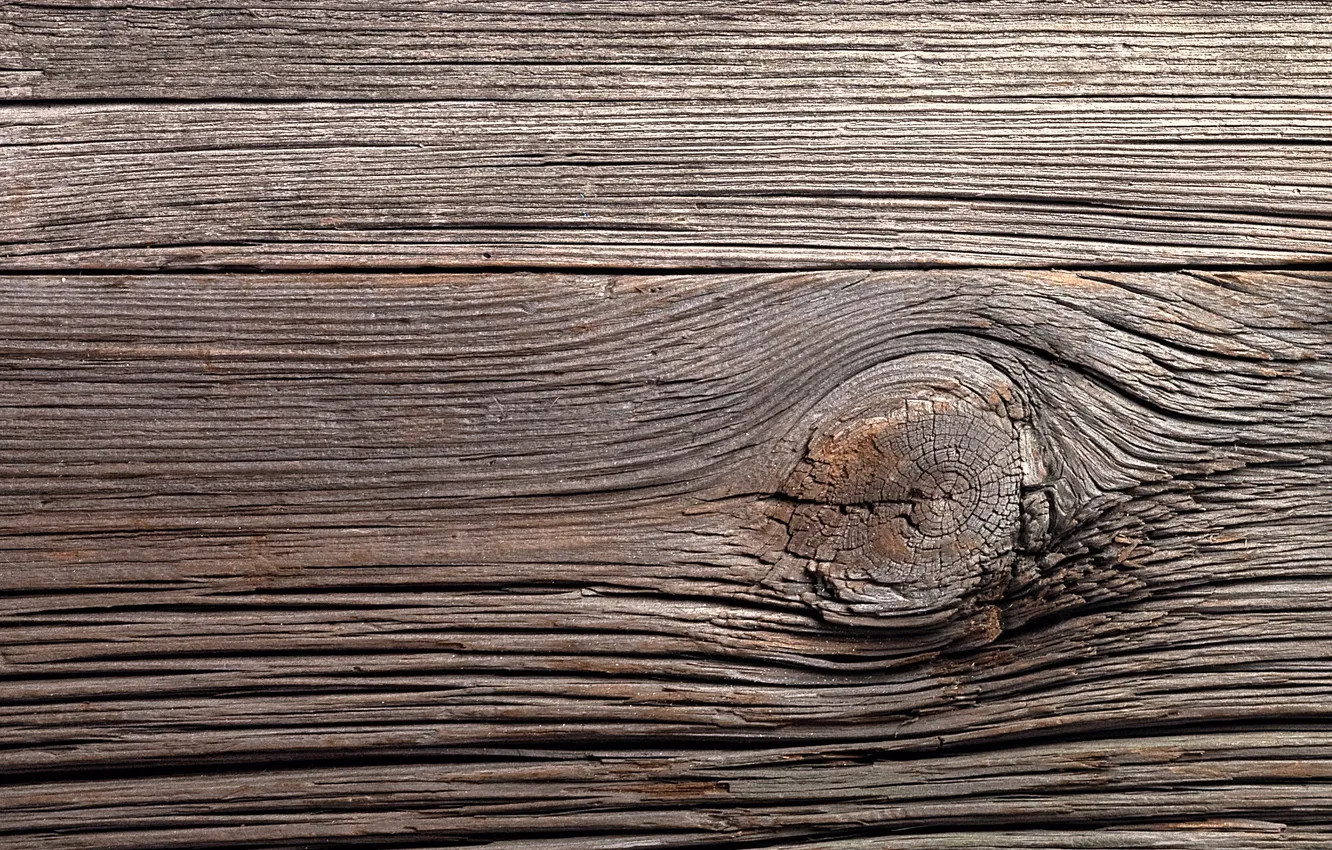 Photo wallpaper old, wood, texture
