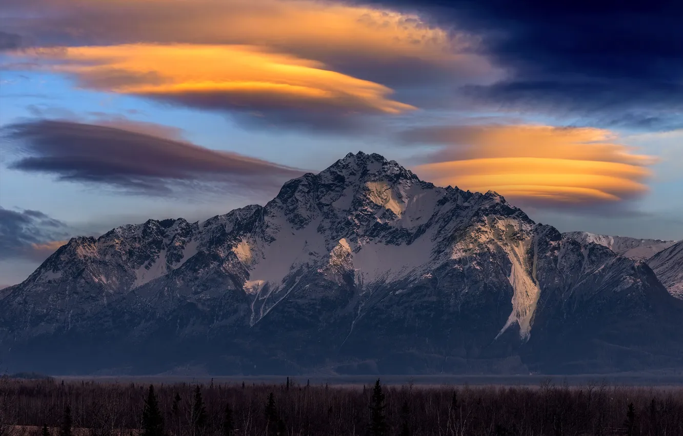 Photo wallpaper USA, Alaska, sky, trees, landscape, nature, sunset, mountains