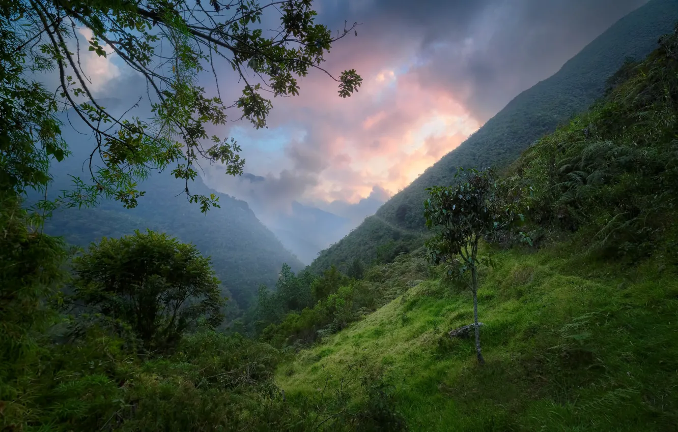 Photo wallpaper green, sunset, clouds, island, evening, tropics