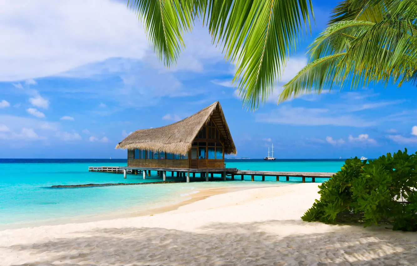 Photo wallpaper sand, beach, palm trees, the ocean, the Maldives