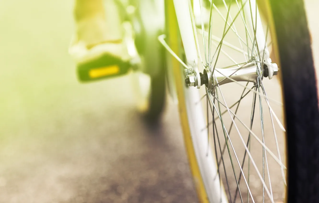 Photo wallpaper bike, green, background, mood, stay, Wallpaper, blur, wheel