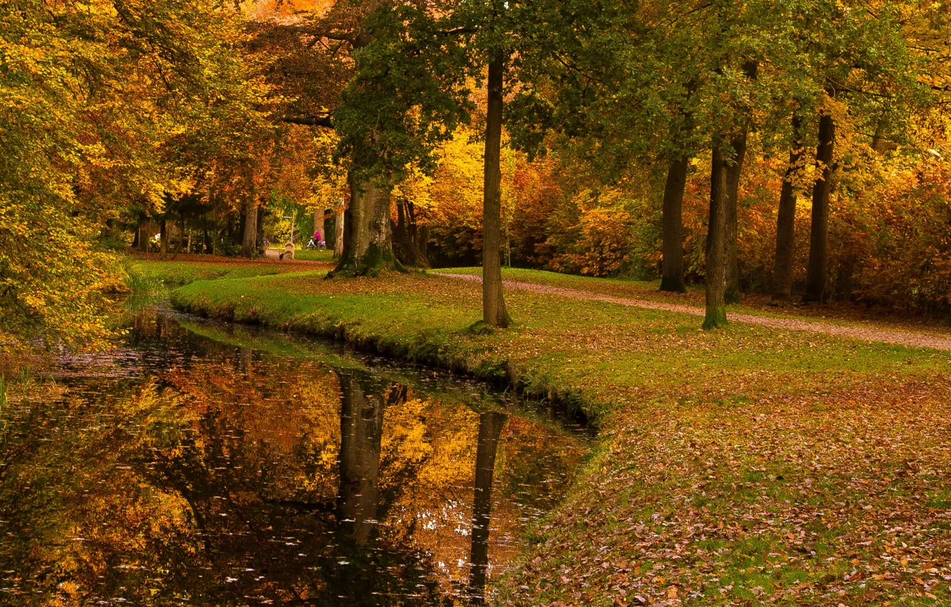 Photo wallpaper autumn, leaves, trees, pond, Park, yellow, Netherlands, path