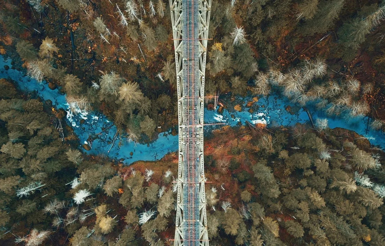 Photo wallpaper forest, trees, landscape, bridge, nature, river, plant, the view from the top