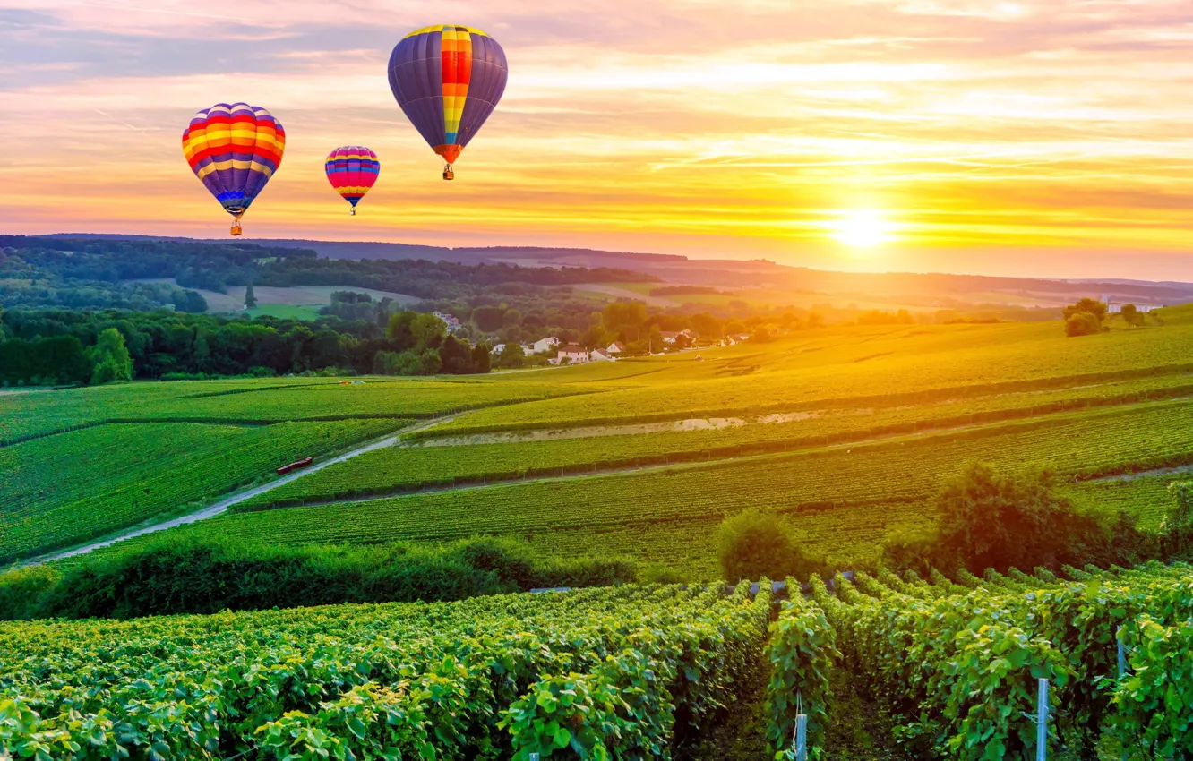 Photo wallpaper balloon, field, sunset