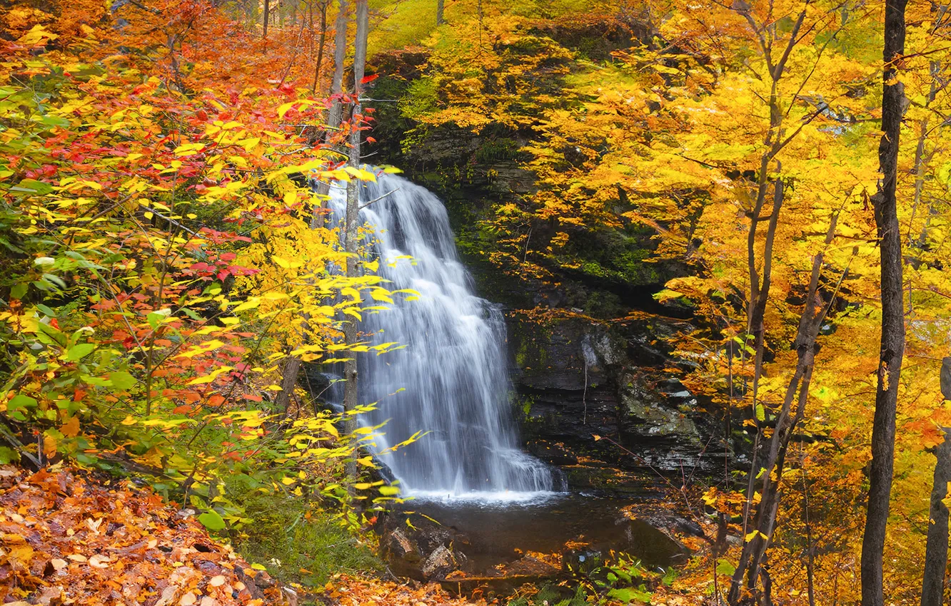 Photo wallpaper autumn, forest, nature, waterfall