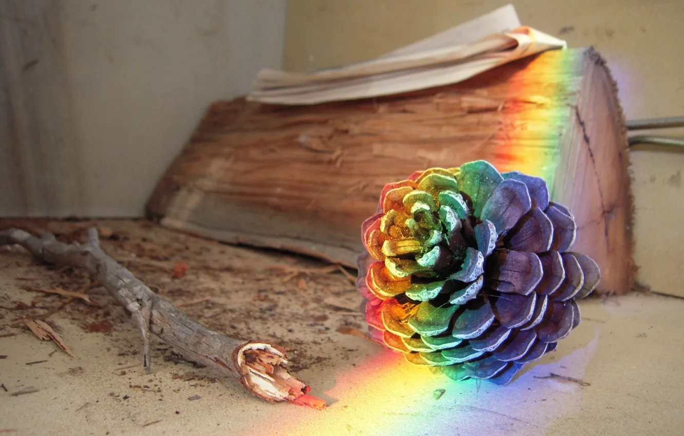 Photo wallpaper rainbow, glow, branch, bump