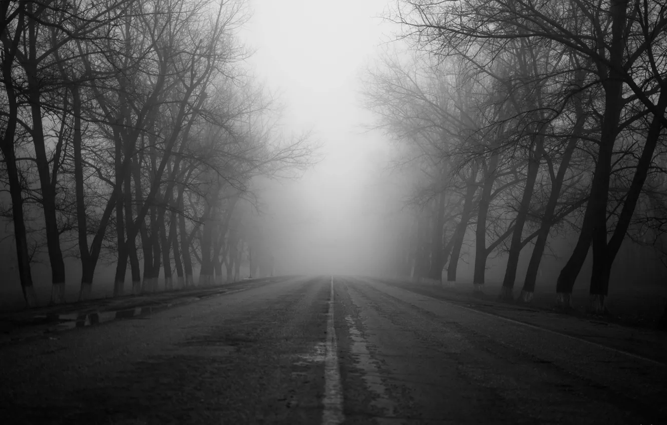 Photo wallpaper road, autumn, Fog