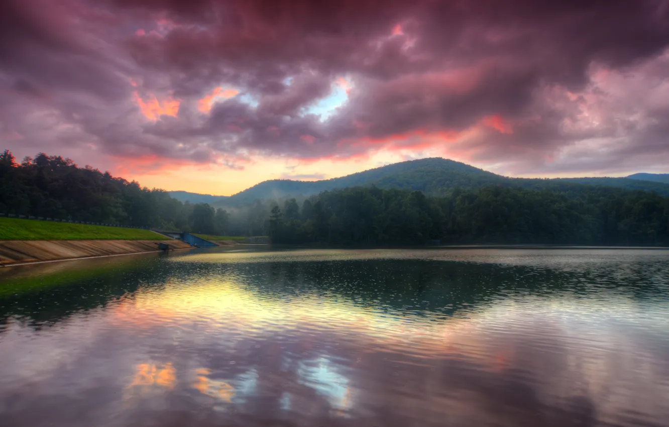 Photo wallpaper trees, fog, lake, dawn, morning