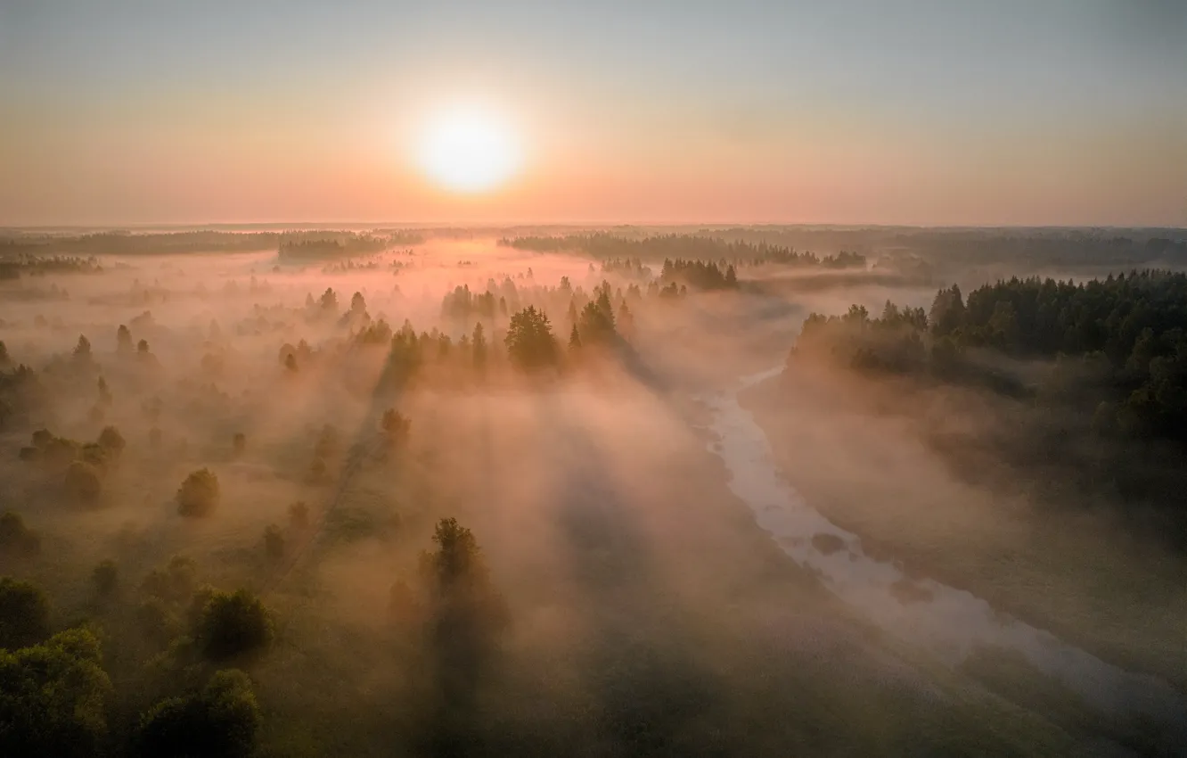 Photo wallpaper field, forest, summer, the sky, the sun, rays, light, trees