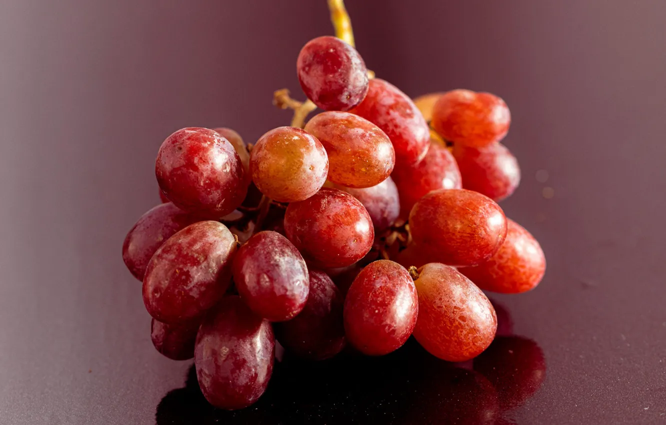 Photo wallpaper macro, red, table, grapes, bunch of grapes