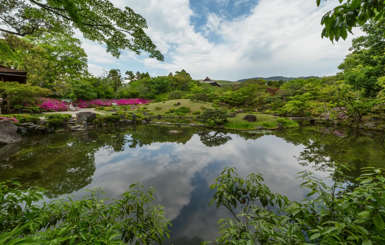 Photo wallpaper trees, landscape, nature, the city, pond, Park, Japan, Nara