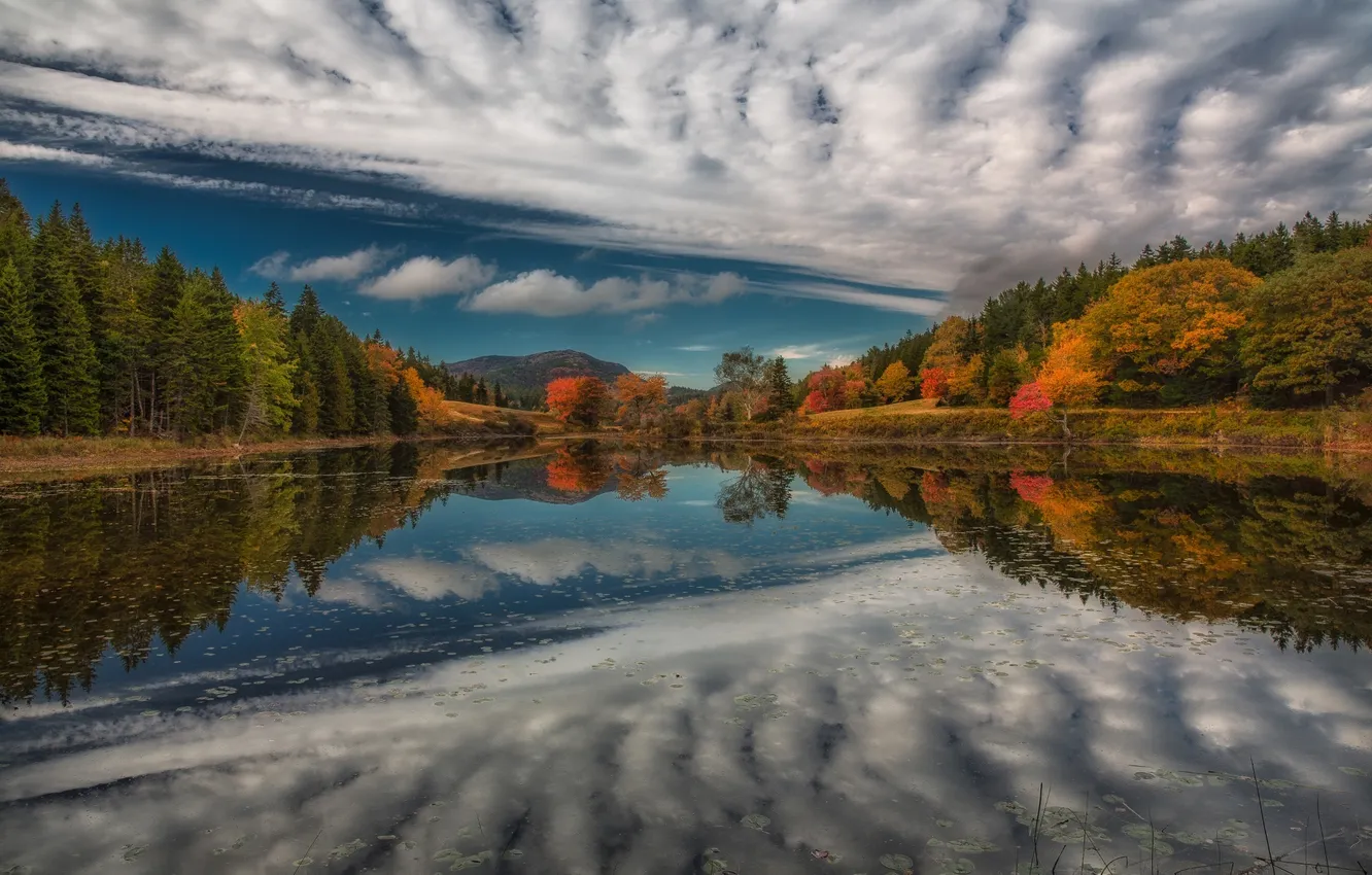 Photo wallpaper autumn, forest, lake, reflection, river