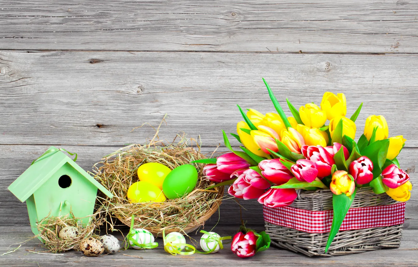 Photo wallpaper flowers, eggs, spring, colorful, Easter, tulips, flowers, tulips