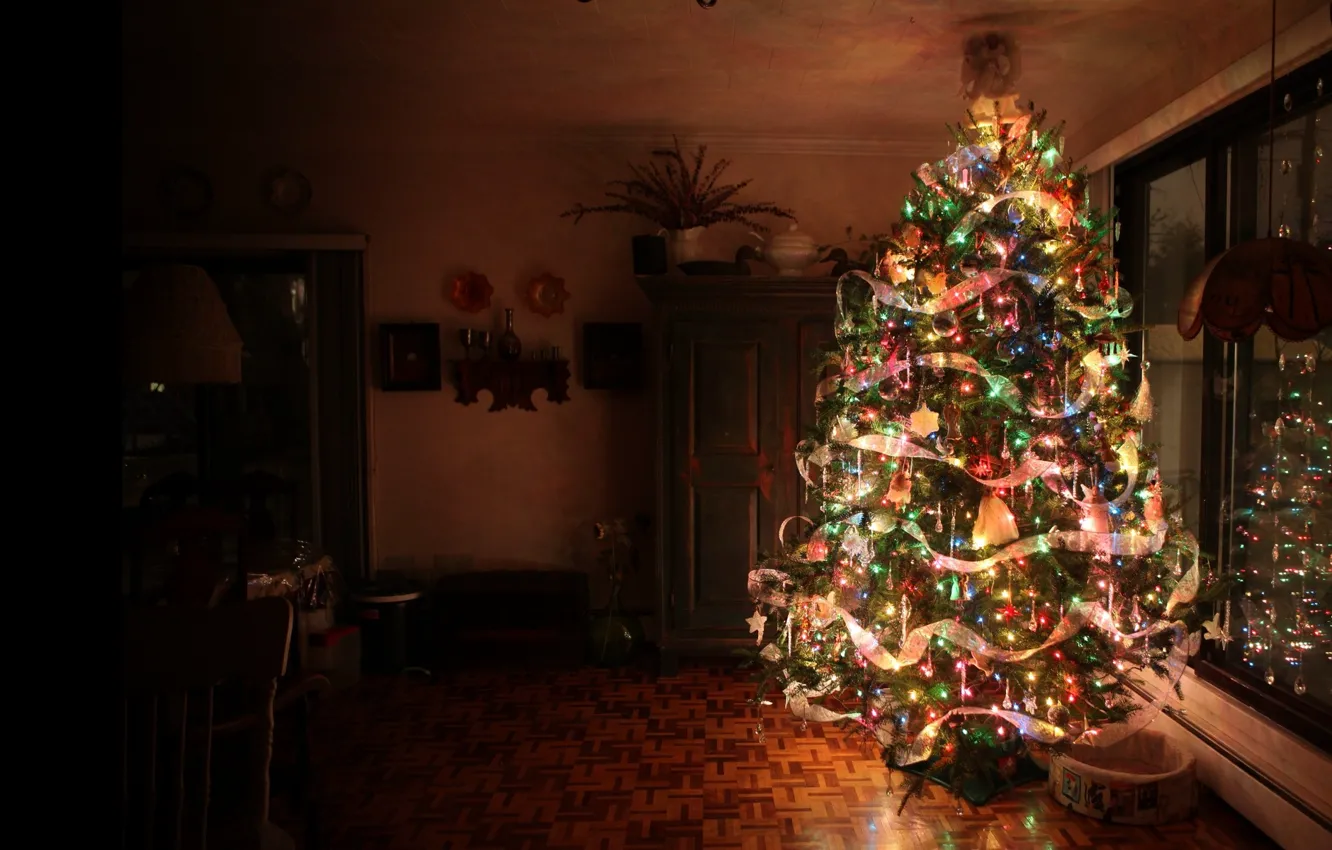 Photo wallpaper night, tree, apartment