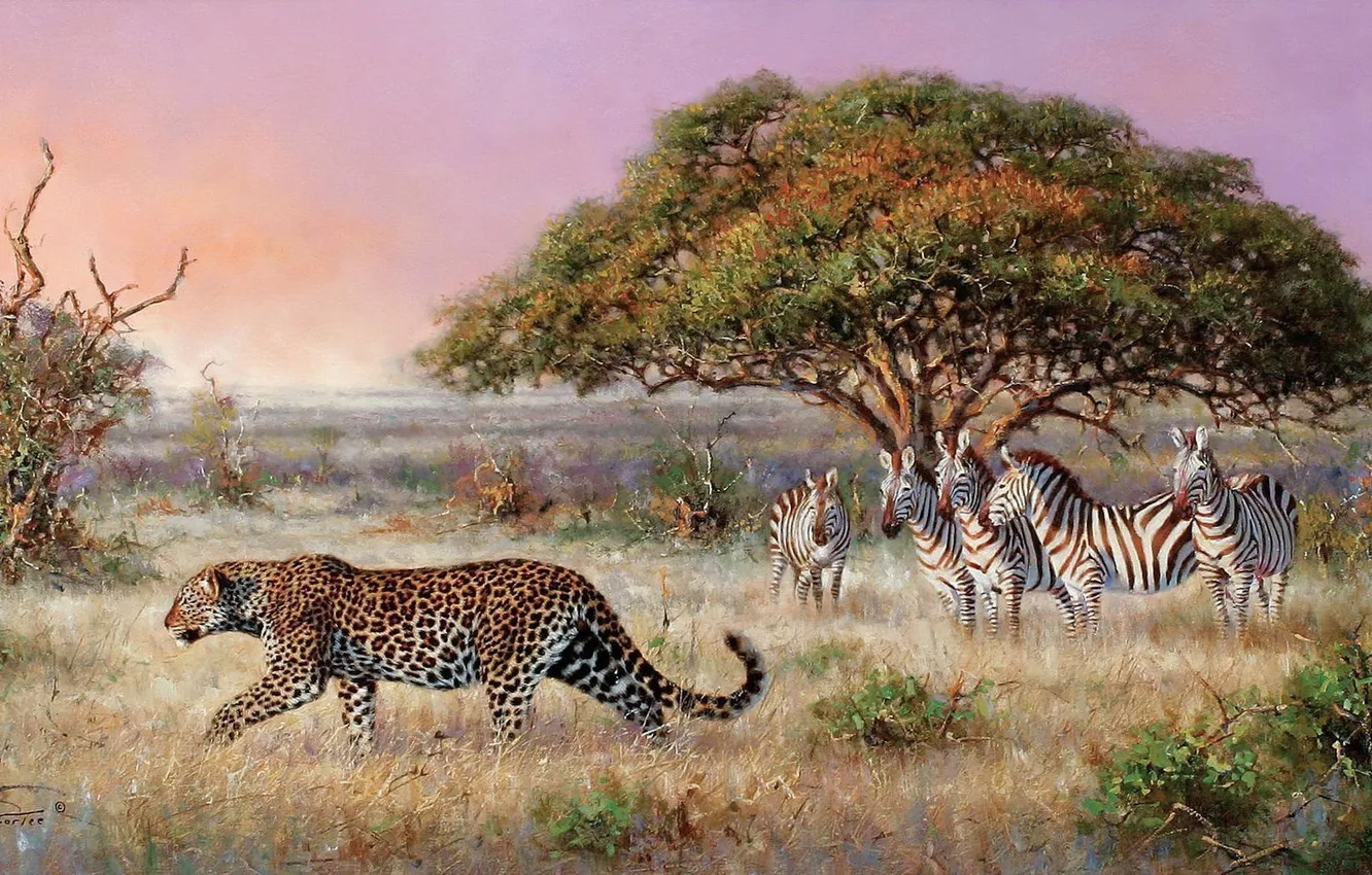 Photo wallpaper grass, trees, picture, Zebra, leopard, Savannah, American artist, Eric Forli