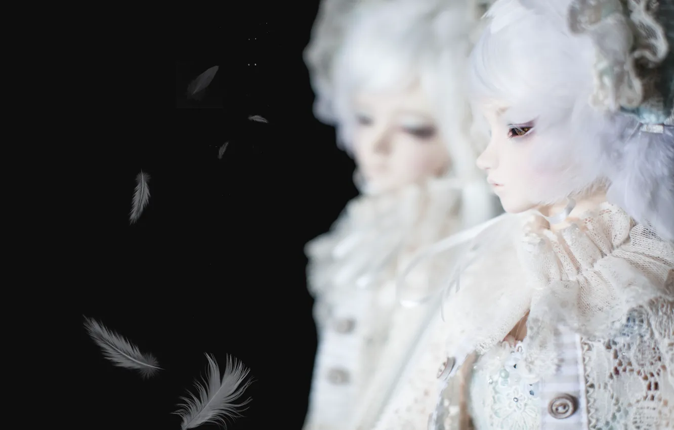 Photo wallpaper reflection, doll, feathers, black background, white hair, doll, BJD