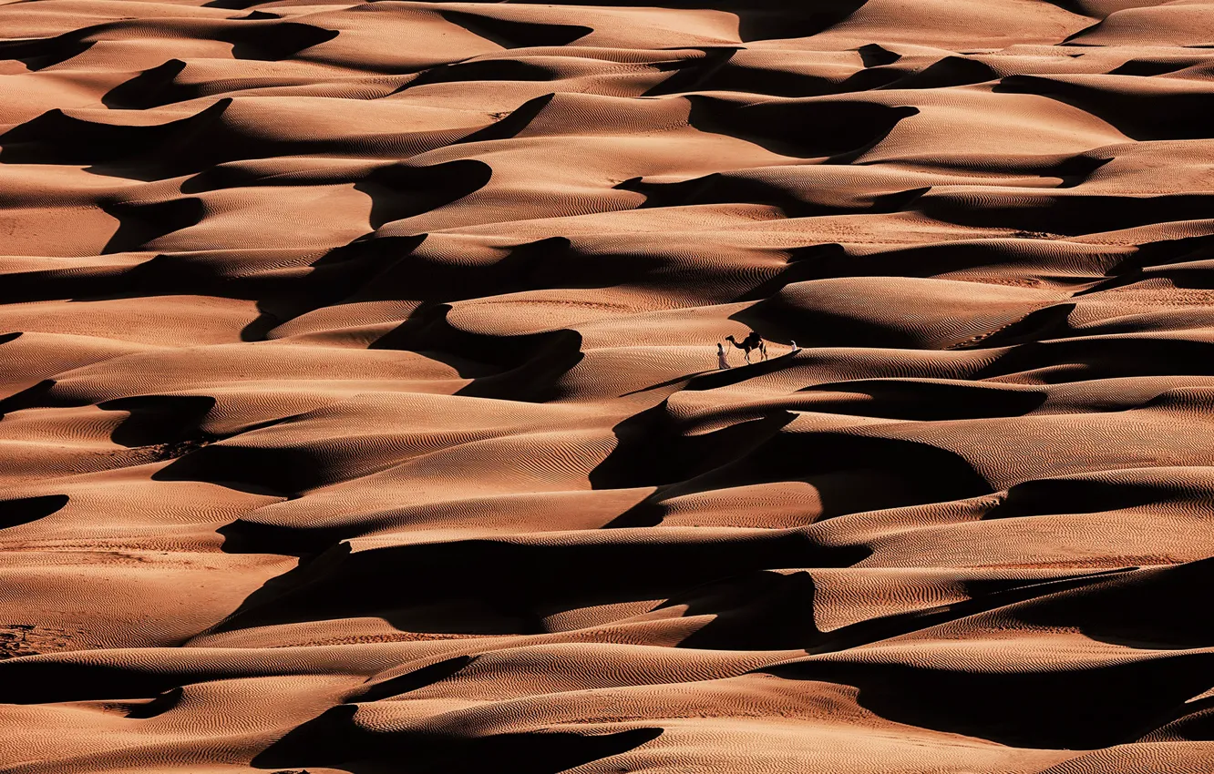 Photo wallpaper sand, wave, desert, camel