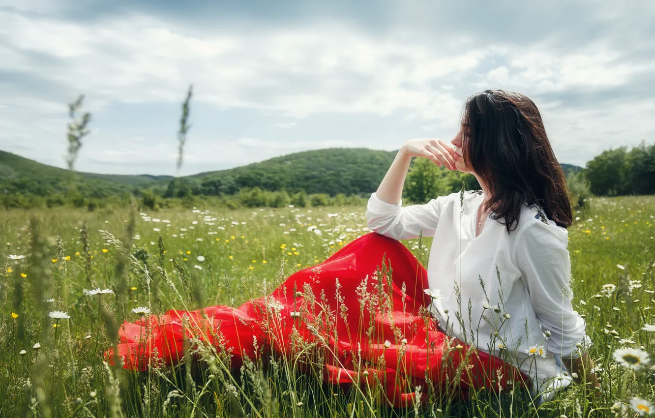 Photo wallpaper summer, grass, girl, nature, pose, photo, chamomile, meadow