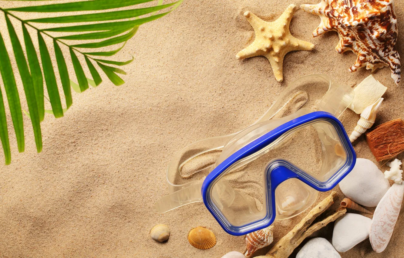 Photo wallpaper sand, beach, summer, shell, seashells