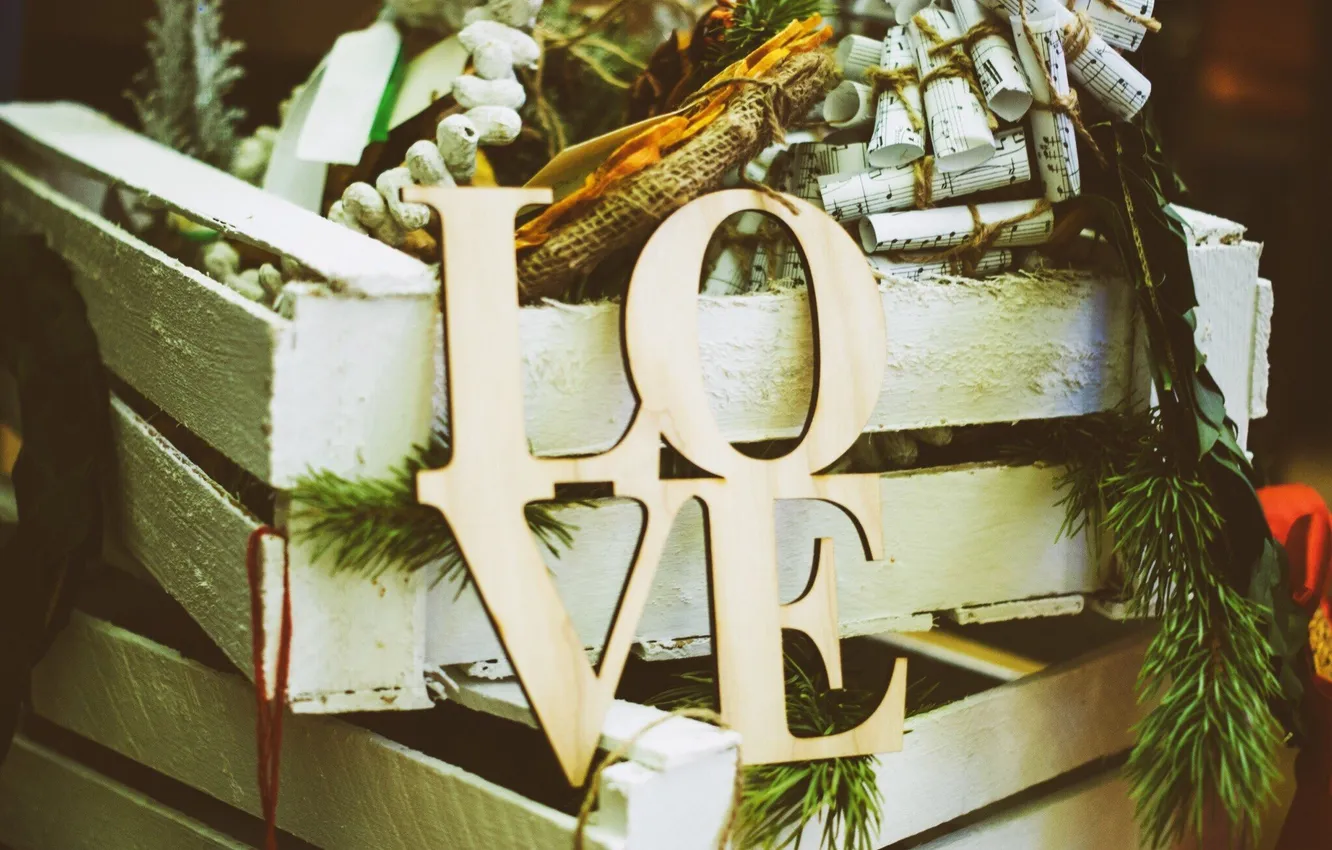 Photo wallpaper branches, love, box