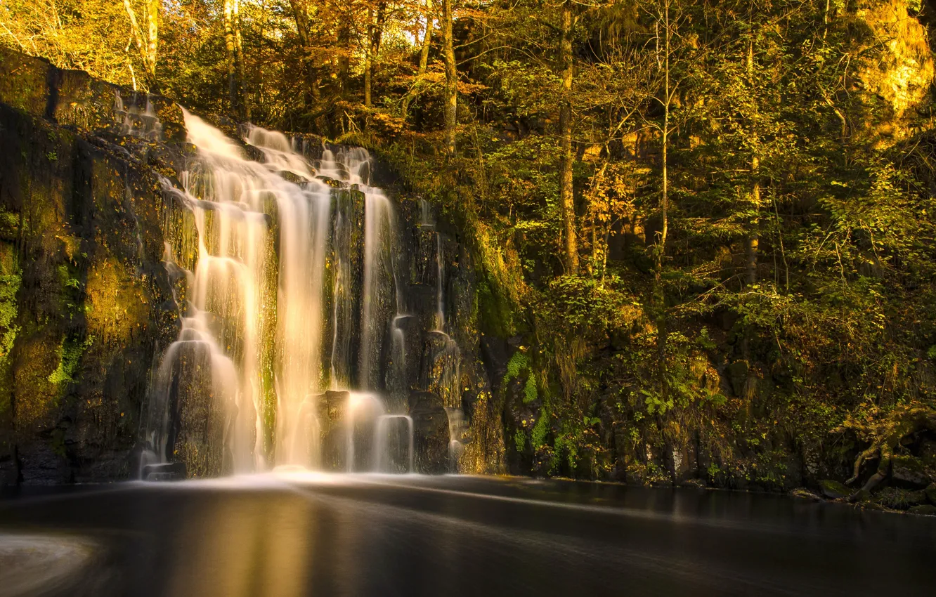 Photo wallpaper autumn, forest, river, France, waterfall, cascade, France, Auvergne