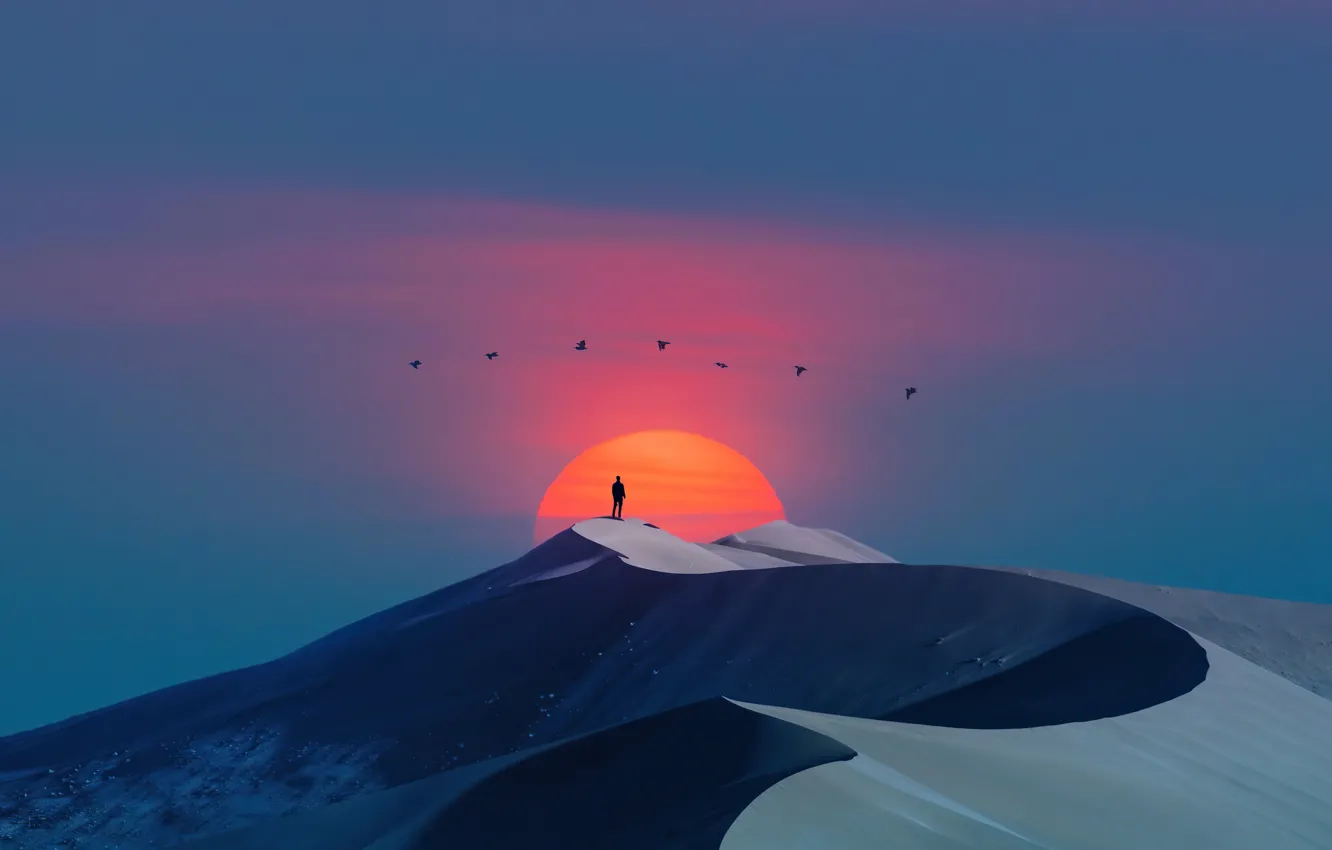 Photo wallpaper clear sky, desert, birds, sun, men, digital art, artwork, dunes