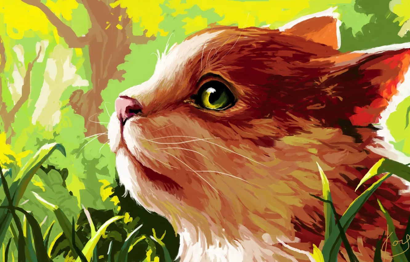 Photo wallpaper cat, grass, figure, profile