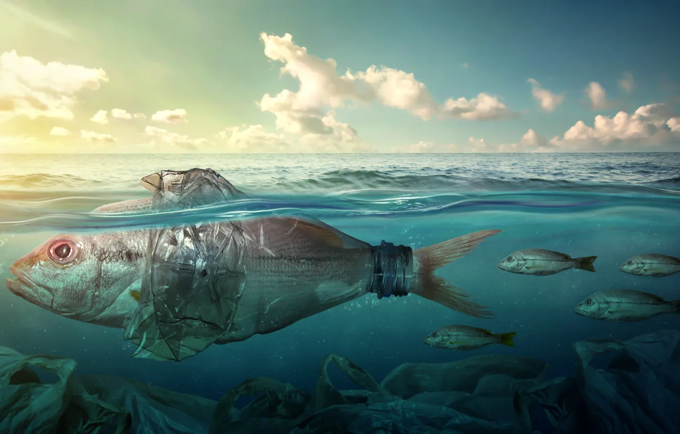 Photo wallpaper sea, fish, garbage, the ocean, bottle, pollution, fish, plastic