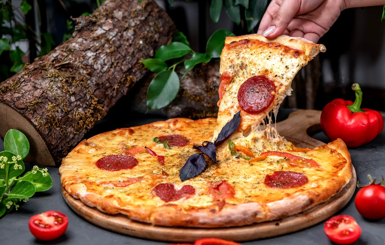 Photo wallpaper cheese, pepper, pizza, sausage, piece, logs