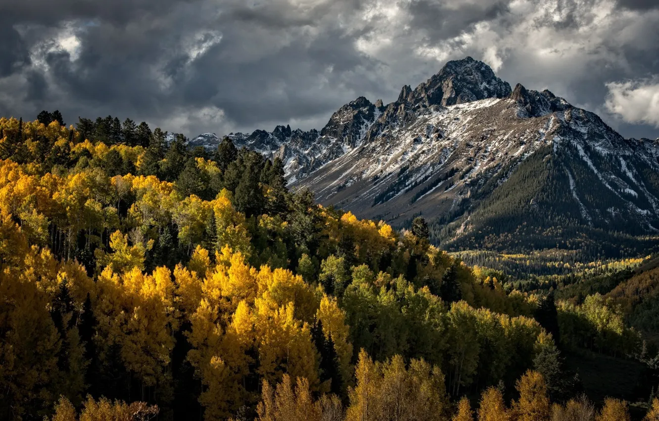 Photo wallpaper forest, the sky, trees, mountains, clouds, nature, rocks