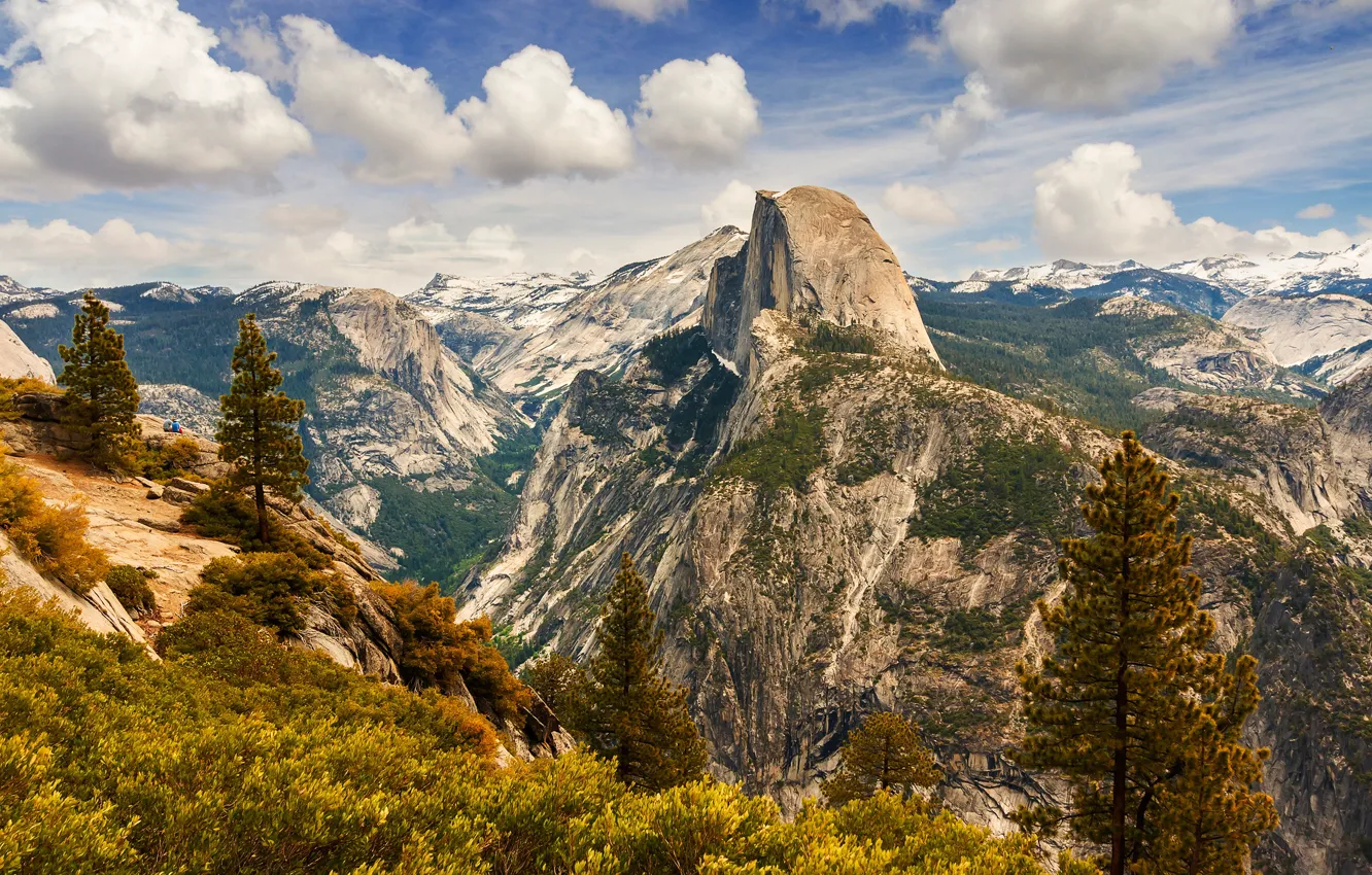 Photo wallpaper forest, the sky, the sun, clouds, trees, mountains, stones, rocks