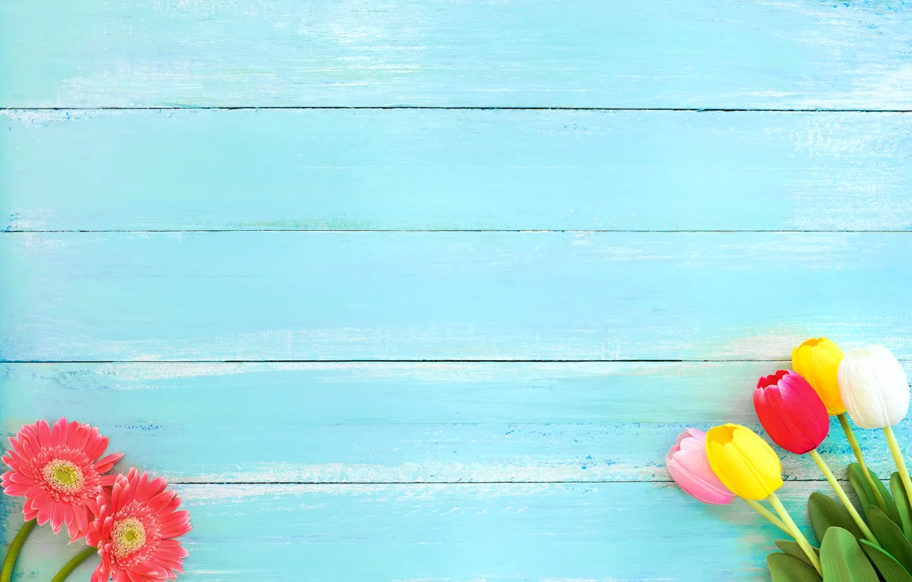Photo wallpaper flowers, spring, colorful, tulips, gerbera, wood, flowers, tulips