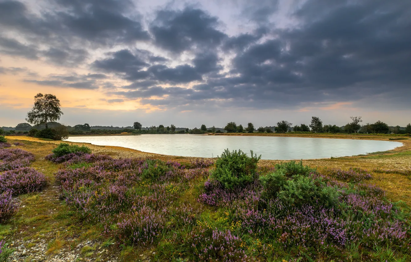 Photo wallpaper clouds, shore, pond, Heather