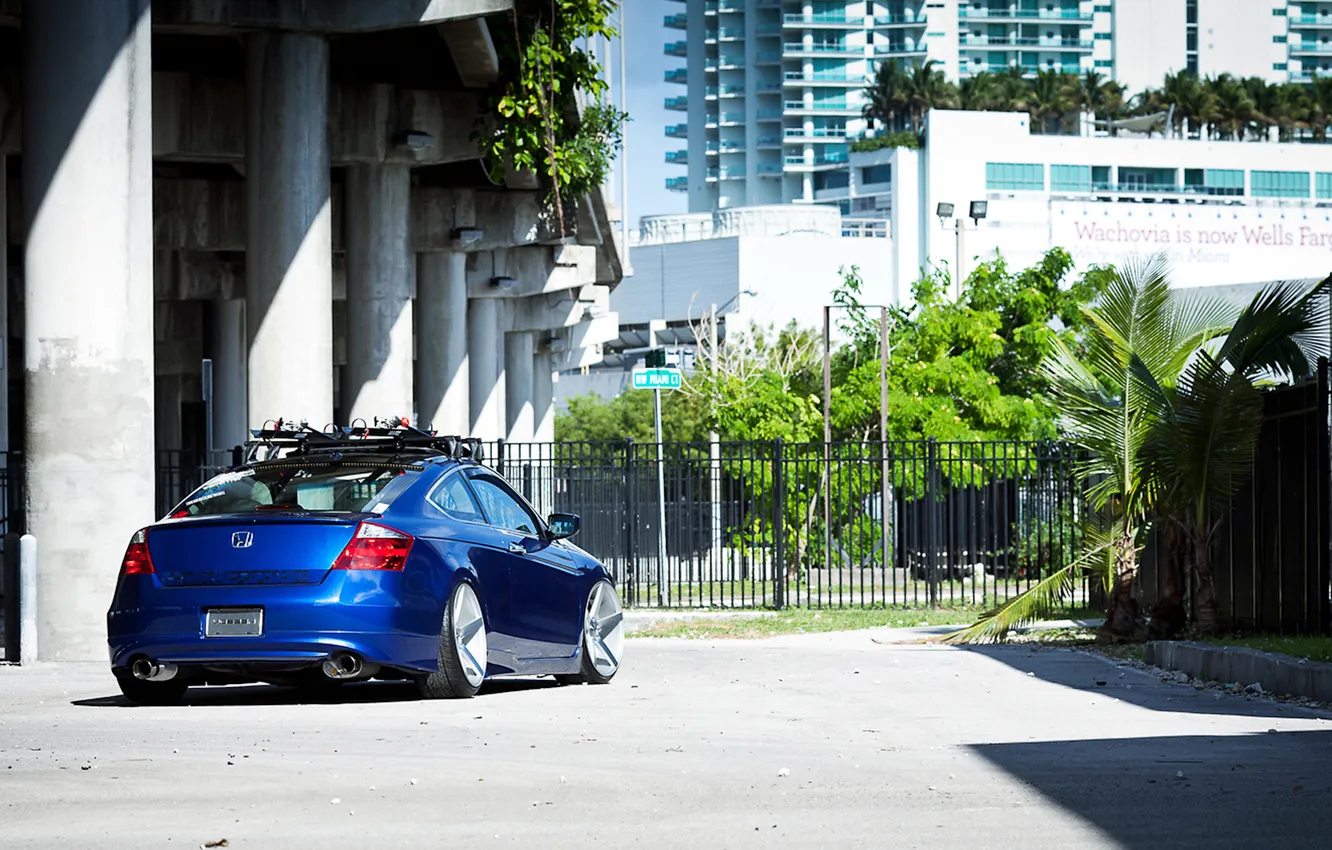 Photo wallpaper bridge, palm trees, Honda, Accord, Honda, under, chord, stance