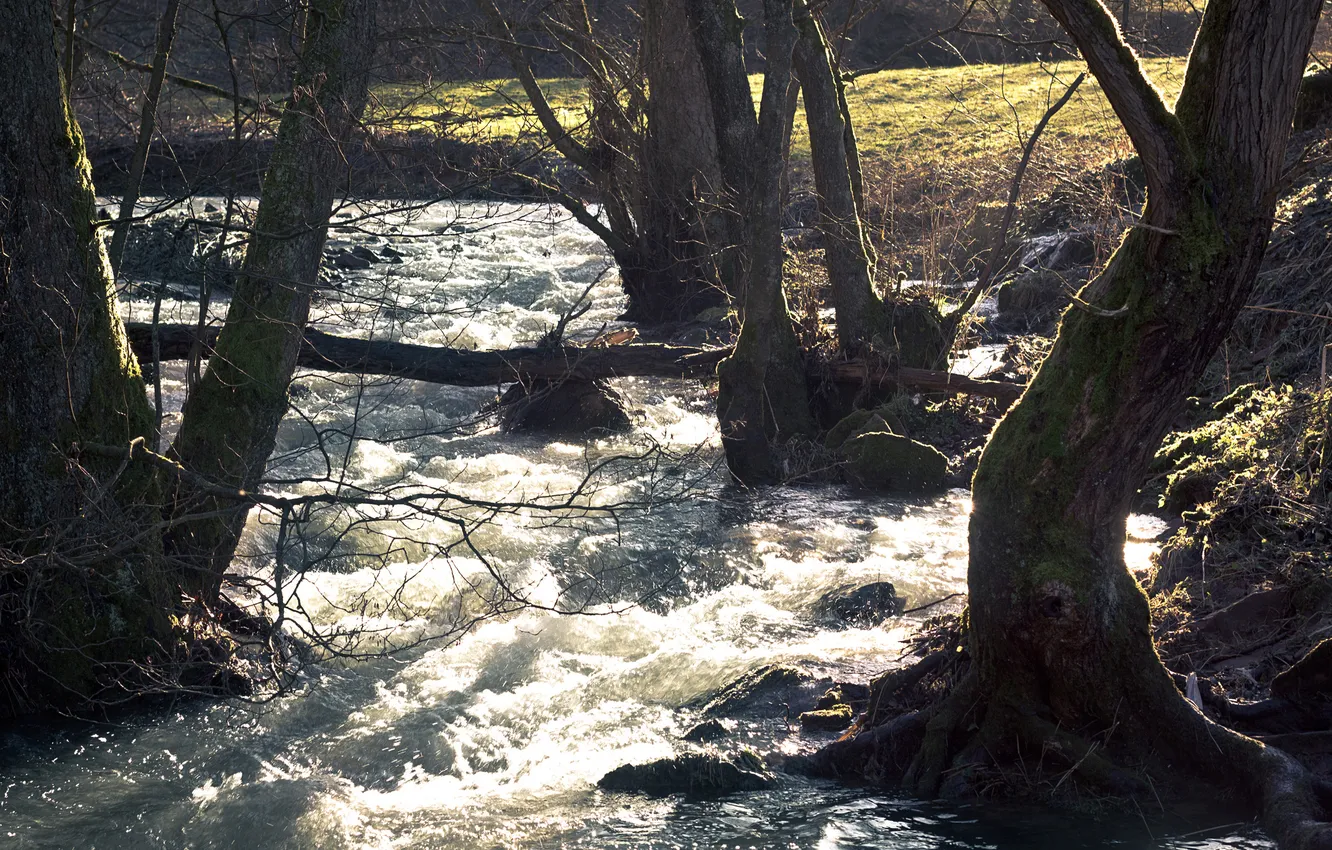 Photo wallpaper water, river, stream