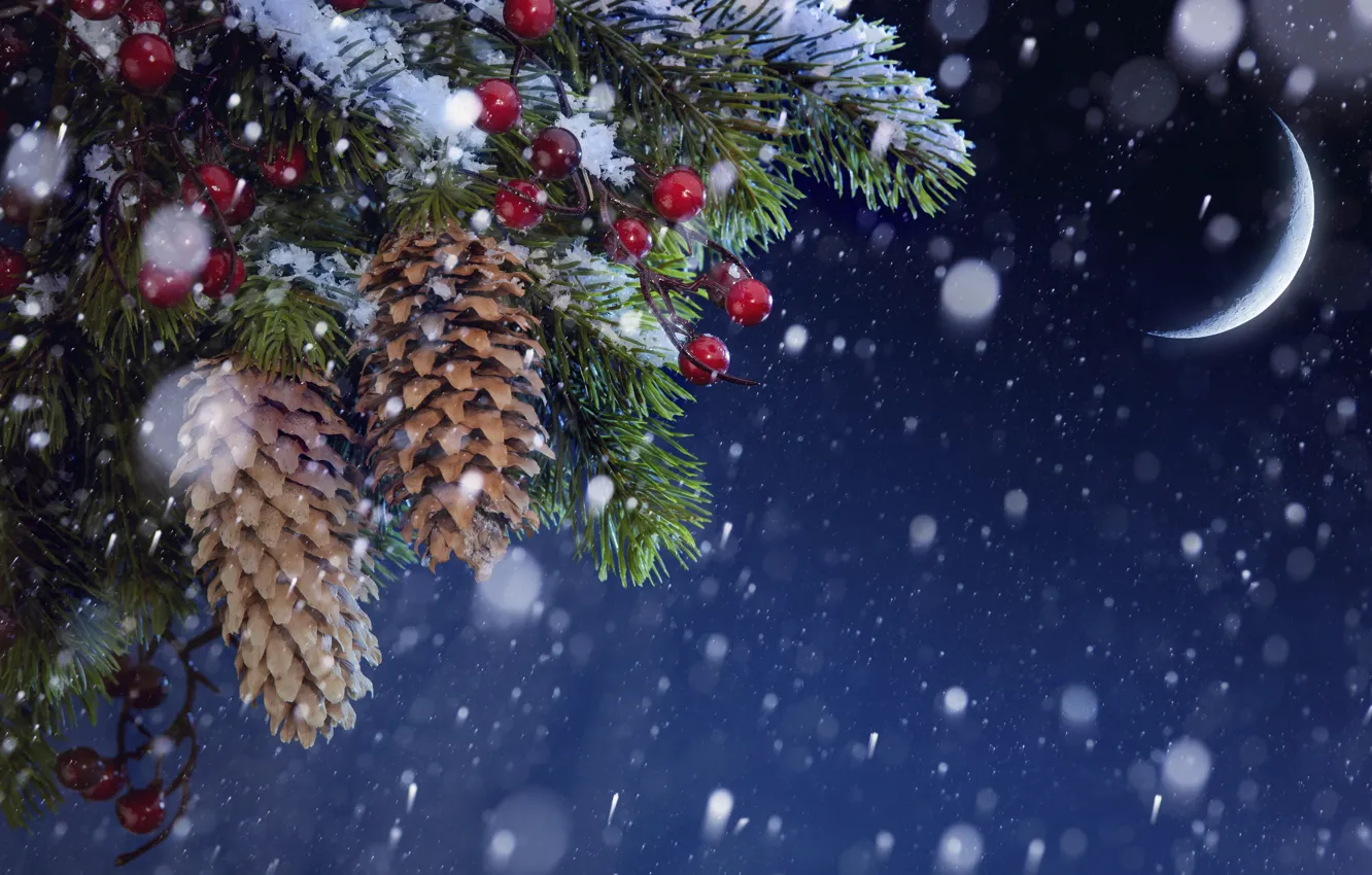 Photo wallpaper snow, tree, a month, bumps