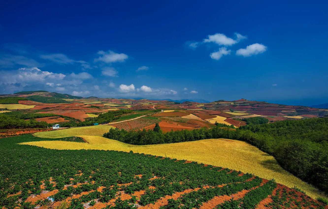 Photo wallpaper field, the sky, hills
