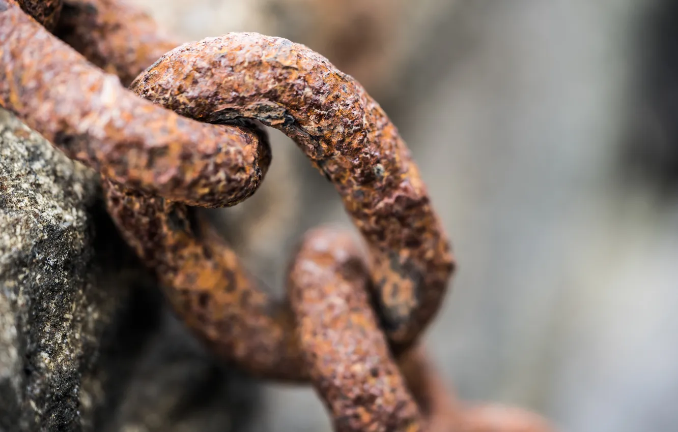 Photo wallpaper rust, chain, link