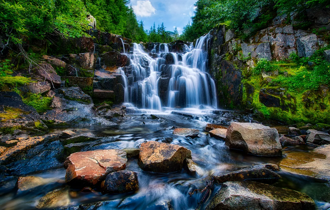 Photo wallpaper forest, trees, river, stones, waterfall, USA, Washington, Mount Rainier