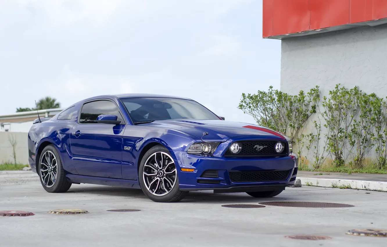 Photo wallpaper Mustang, blue, 5.0, 2013
