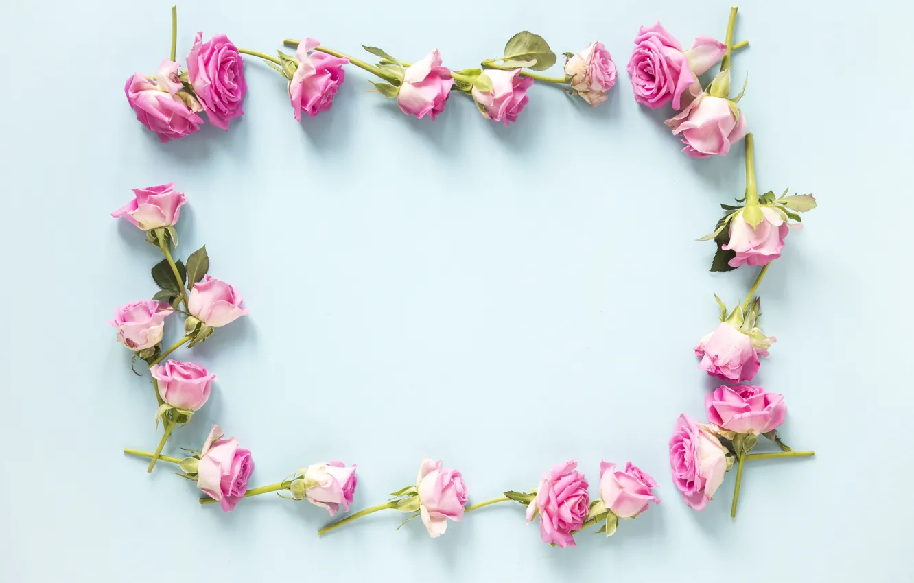 Photo wallpaper flowers, background, roses, buds, pink, flowers, roses