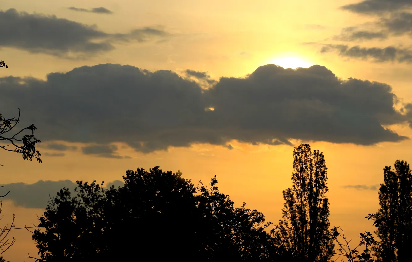 Photo wallpaper sky, cloud, sun