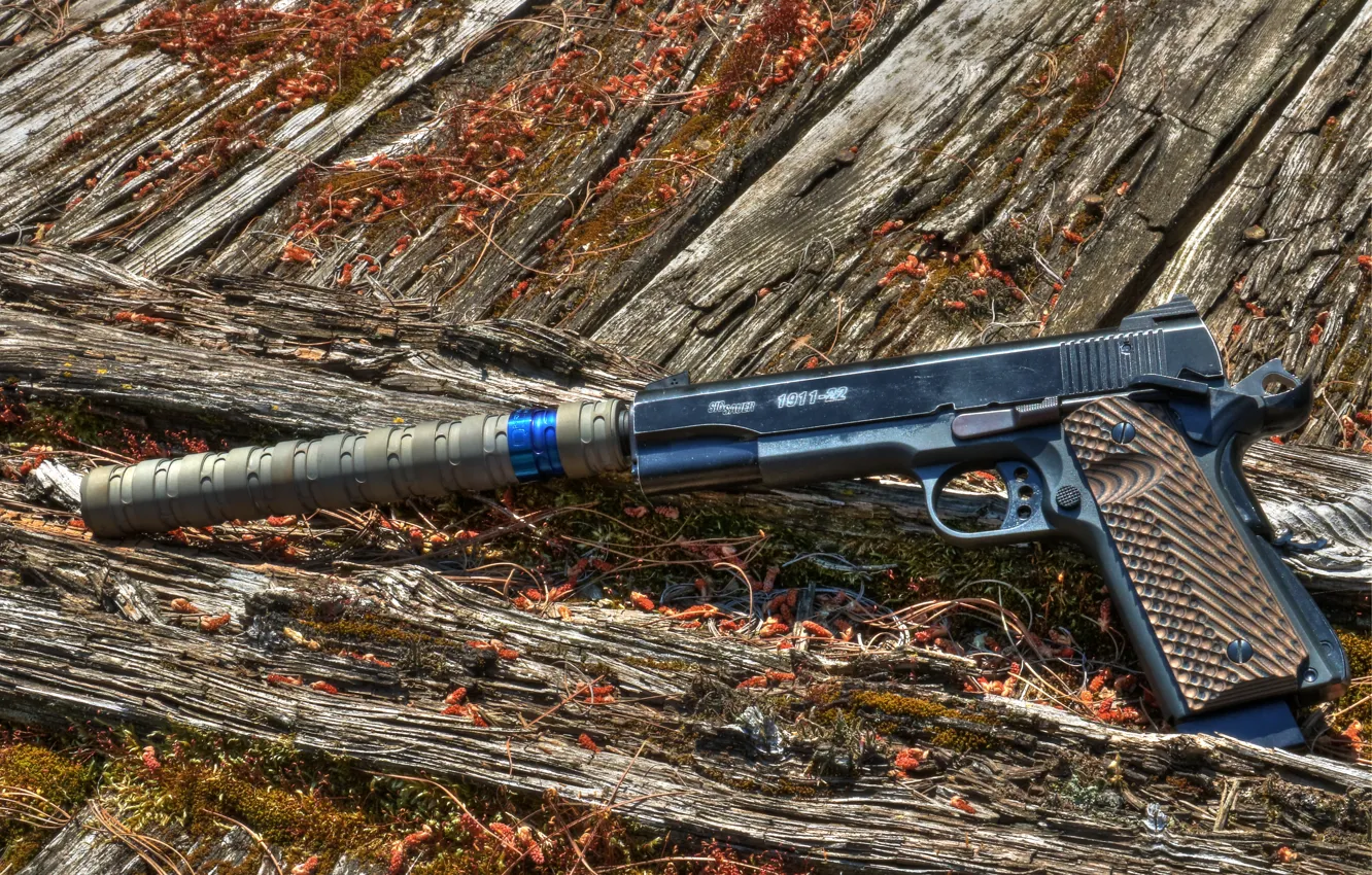Photo wallpaper gun, background, muffler