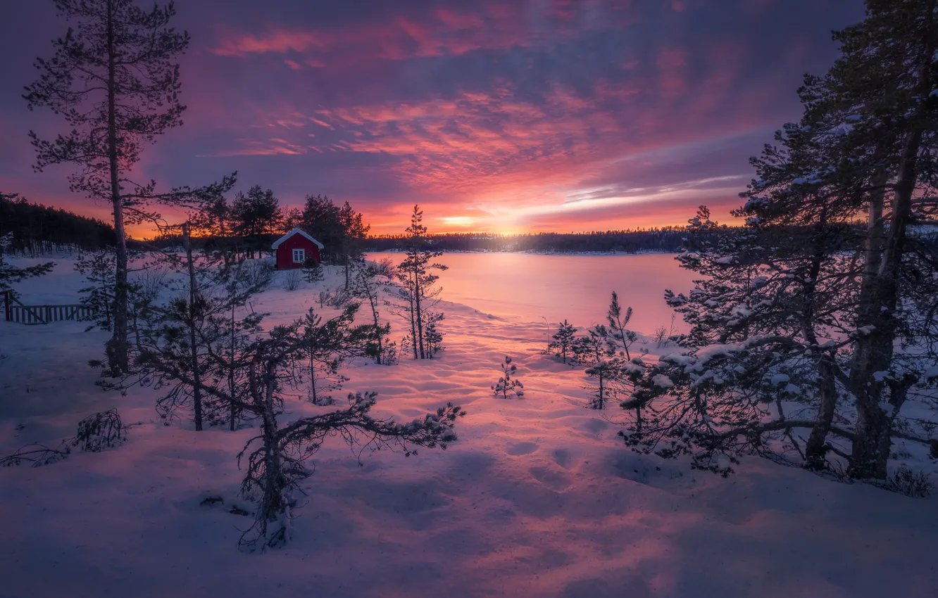 Photo wallpaper Norway, Norway, Ringerike, Magic of Winter