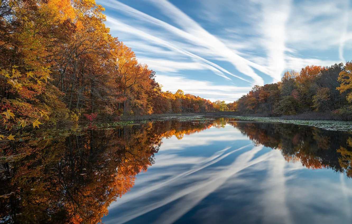 Photo wallpaper autumn, forest, the sky, trees, lake, reflection